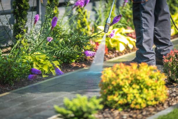 Vine Grove, KY Pressure Washing Services Company